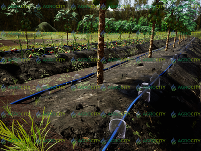 La Importancia del Riego Tecnificado para el Crecimiento Agrícola