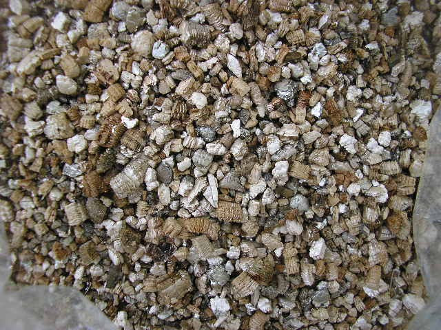 Vermiculita - Sustrato para Propagación Vegetativa