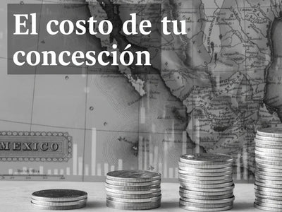 Análisis del Costo Real y Oculto