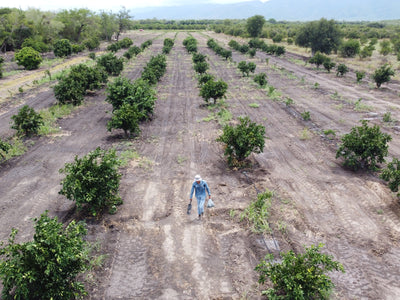 Optimizando Recursos para una Agricultura Eficiente