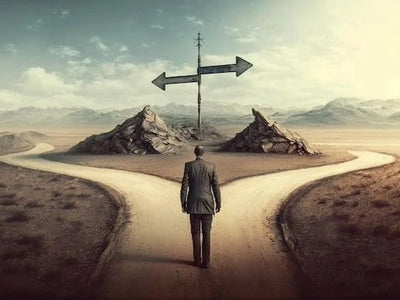 Análisis económico de ambos mecanismos.