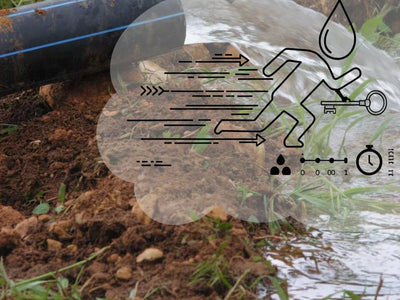 Claves para una Solicitud Exitosa