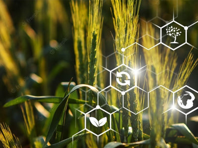 EL INTERNET DE LAS COSAS EN LA AGRICULTURA