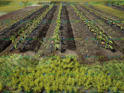 Diseño Agronómico de Sistemas de Riego
