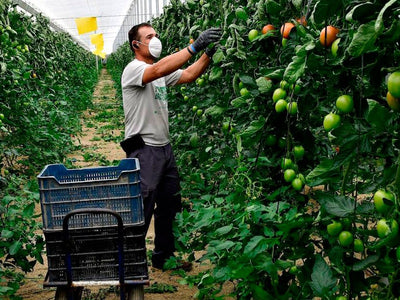 LA CRISIS DEL COVID-19 EN LA AGRICULTURA