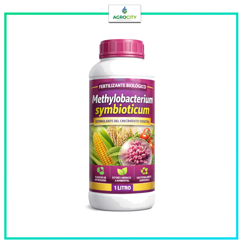 METHYLOBACTERIUM SIMBROTICUM