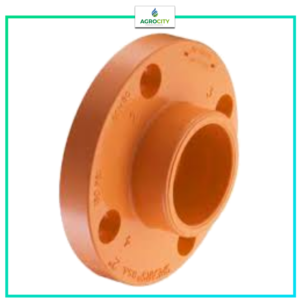 BRIDA VAN STONE CEMENTAR