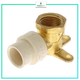 Sticky Image