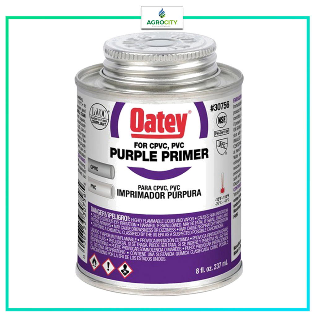 PRIMER PURPURA