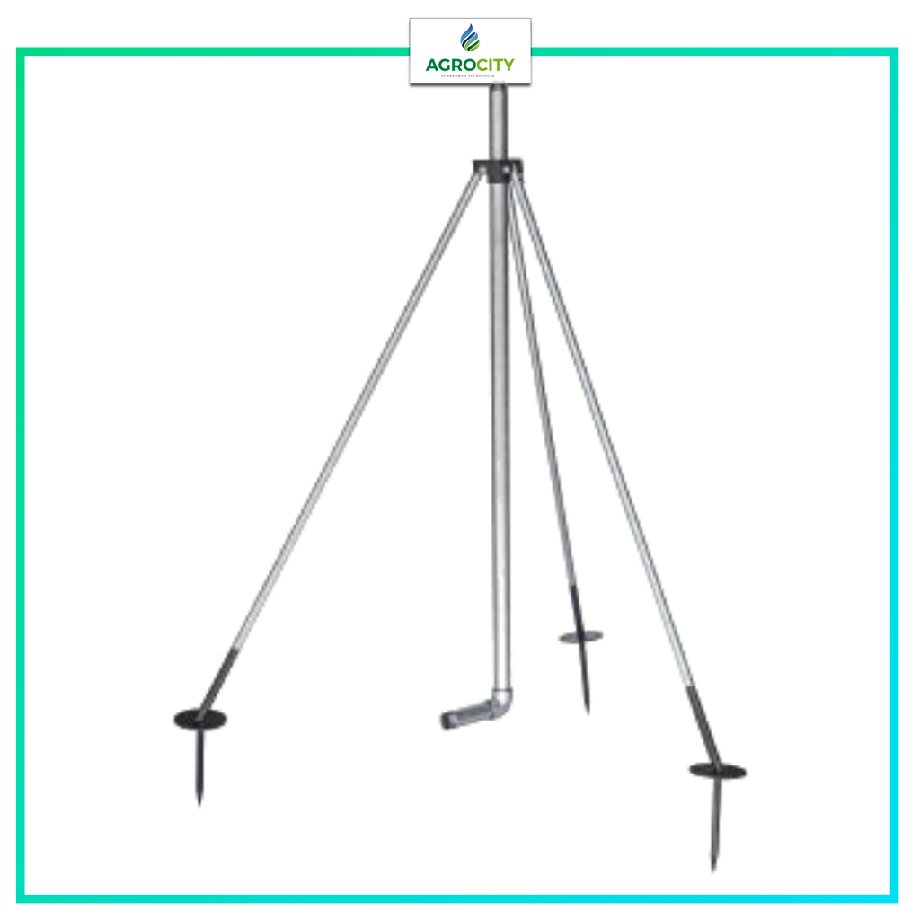 TRIPIE ­PARA PINGUINO