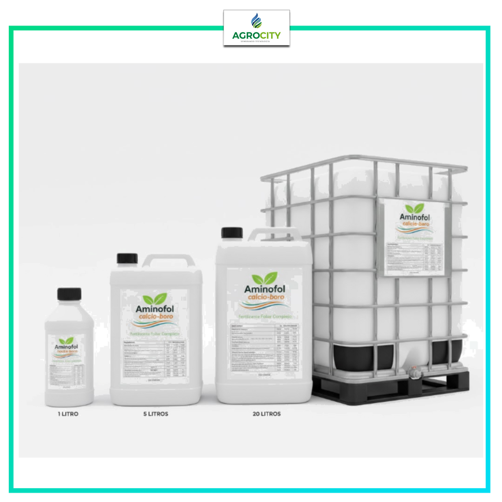 AMINOFOL CALCIO BORO